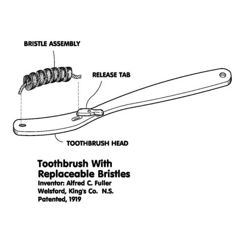 ToothbrushWithReplaceableBristles